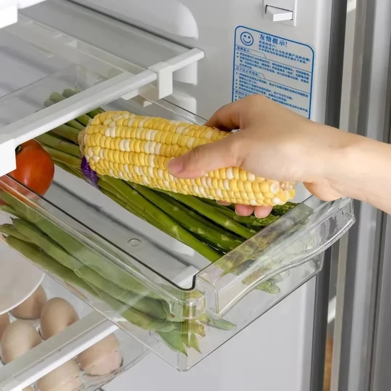 Fridge Under-Shelf Storage Drawer (1pc)